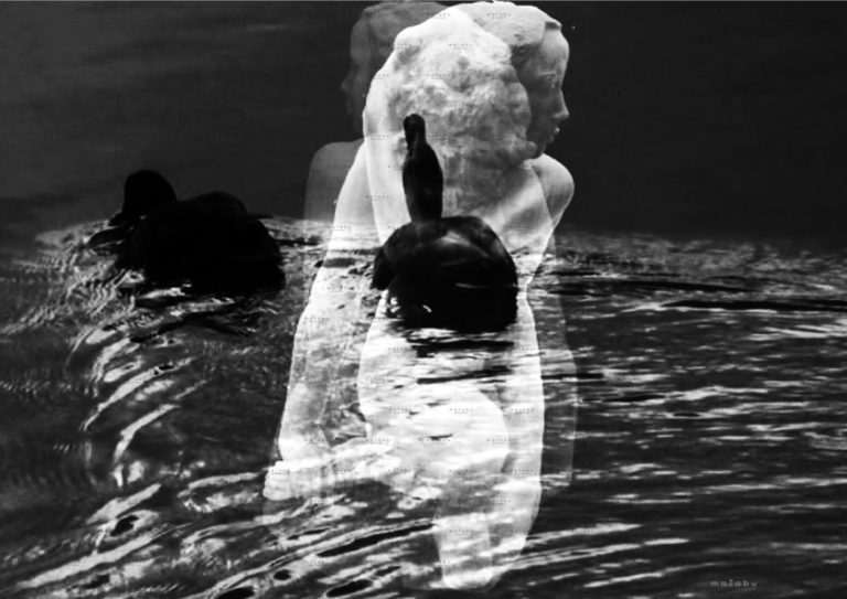 at Rheinfelden 6