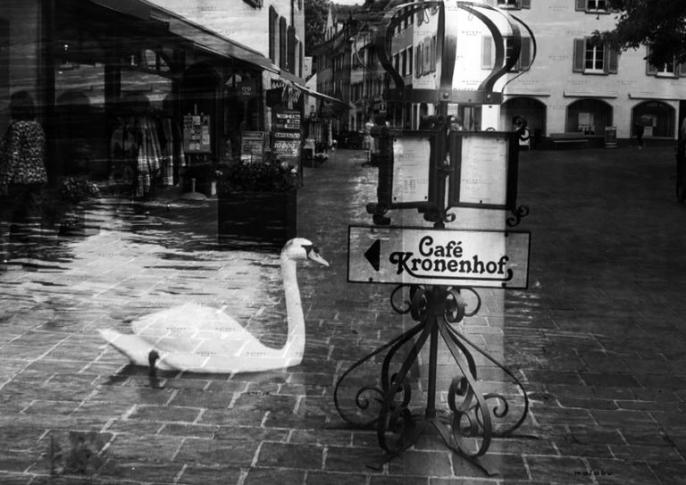 at Rheinfelden 7